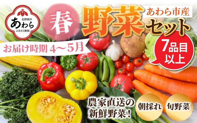 【先行予約】農家直送 春野菜セット 1箱 7品目以上 《元気に育った新鮮野菜！》 ※2025年4月下旬以降順次発送予定