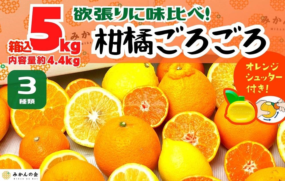 はるかみかん Lサイズ 箱込み10キロ 長崎県産×2箱さっぱりで甘い - 果物