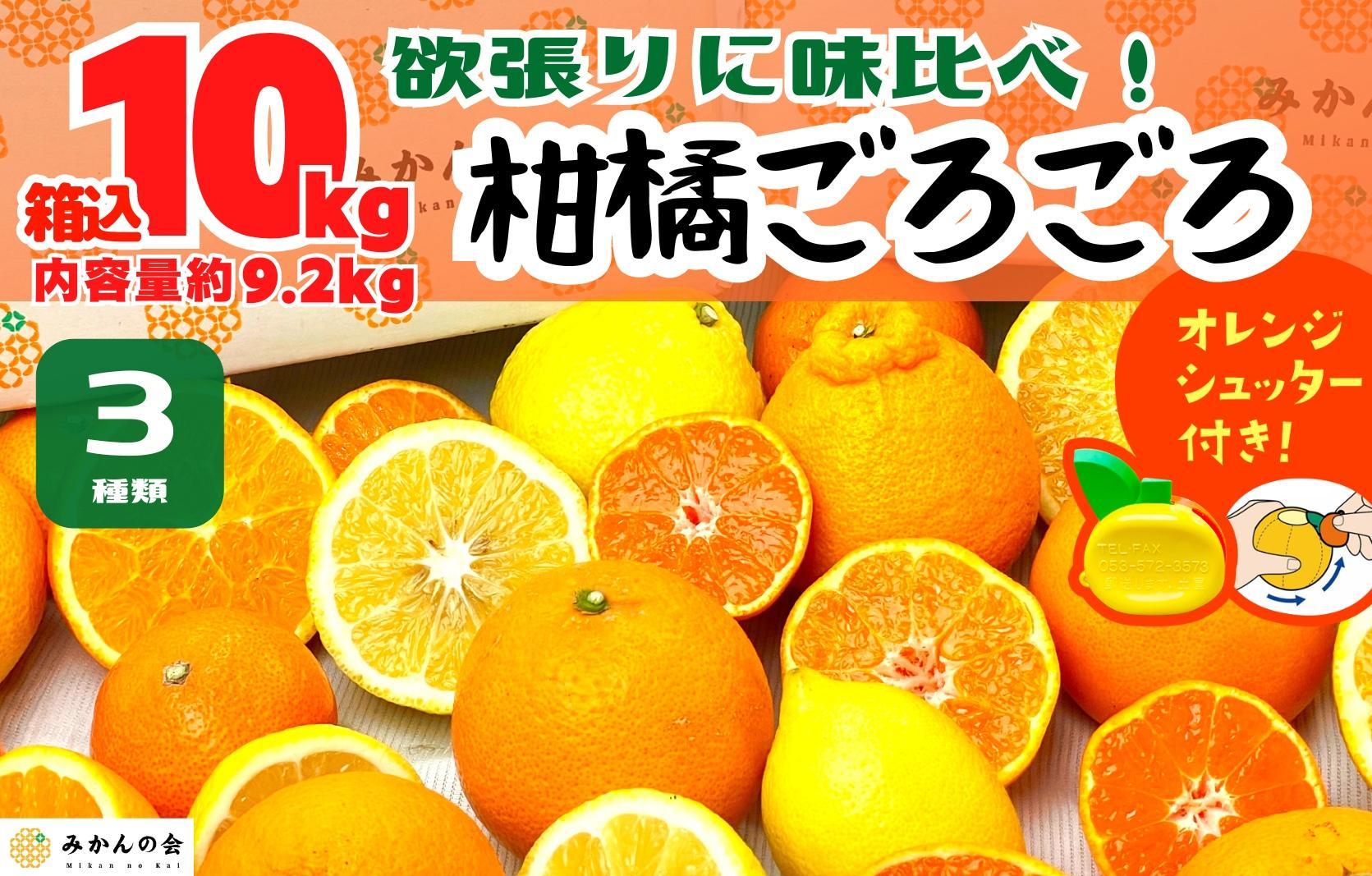 旬の柑橘食べ比べ 柑橘ごろごろ 3種 箱込 10kg(内容量約 9.2kg) 秀品 優品 混合 和歌山県産 産地直送 【おまけ付き】【みかんの会】