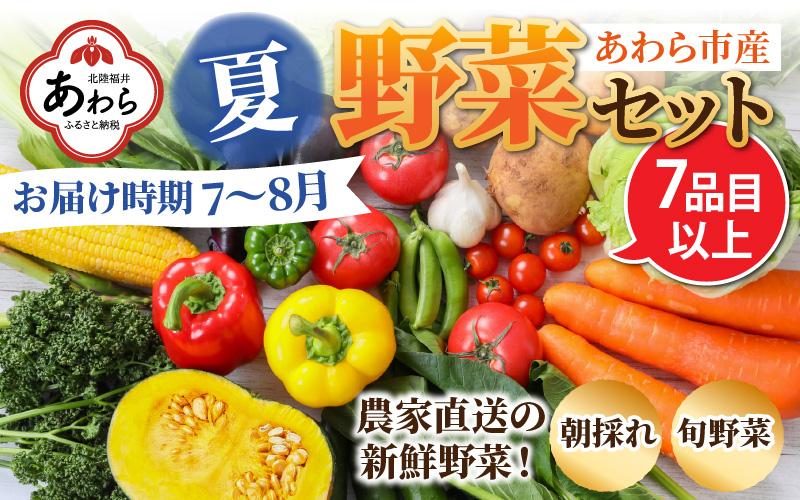 【先行予約】農家直送 夏野菜セット 1箱 7品目以上 《元気に育った新鮮野菜！》※2025年7月中旬以降発送