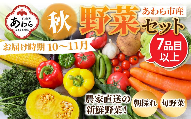 【先行予約】農家直送 秋野菜セット 1箱 7品目以上 《元気に育った新鮮野菜！》※2024年10月下旬以降発送