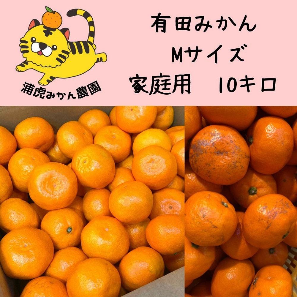 訳あり温州みかん 家庭用 10kg (Mサイズ指定)