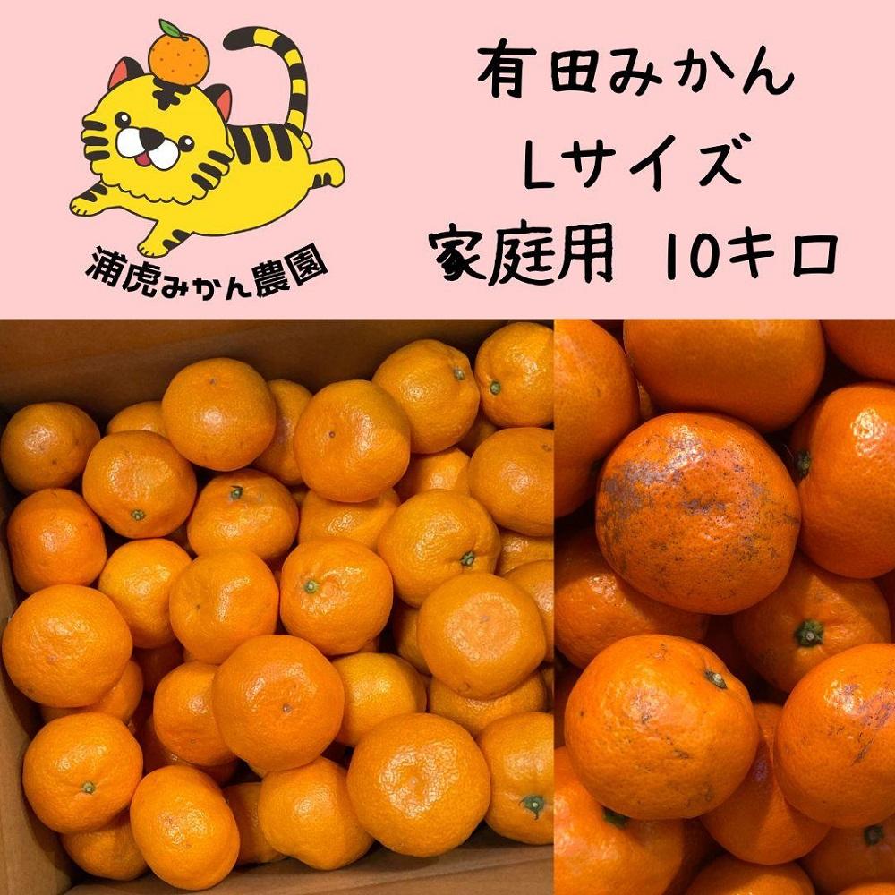 訳あり温州みかん１０ｋｇ（Ｌサイズ指定）