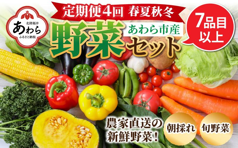 ＜定期便 4回＞ 新鮮野菜セット 1箱 7品目以上 【春 夏 秋 冬 発送】