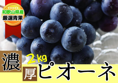 【甘さとみずみずしさが自慢】種なしピオーネ＜ぶどう約２kg＞★8月下旬から9月中旬発送★