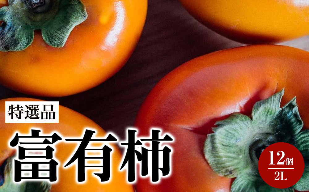 【特選品】岐阜県大野町産&nbsp;富有柿&nbsp;2L&nbsp;12個入り【2026年11月下旬～発送】