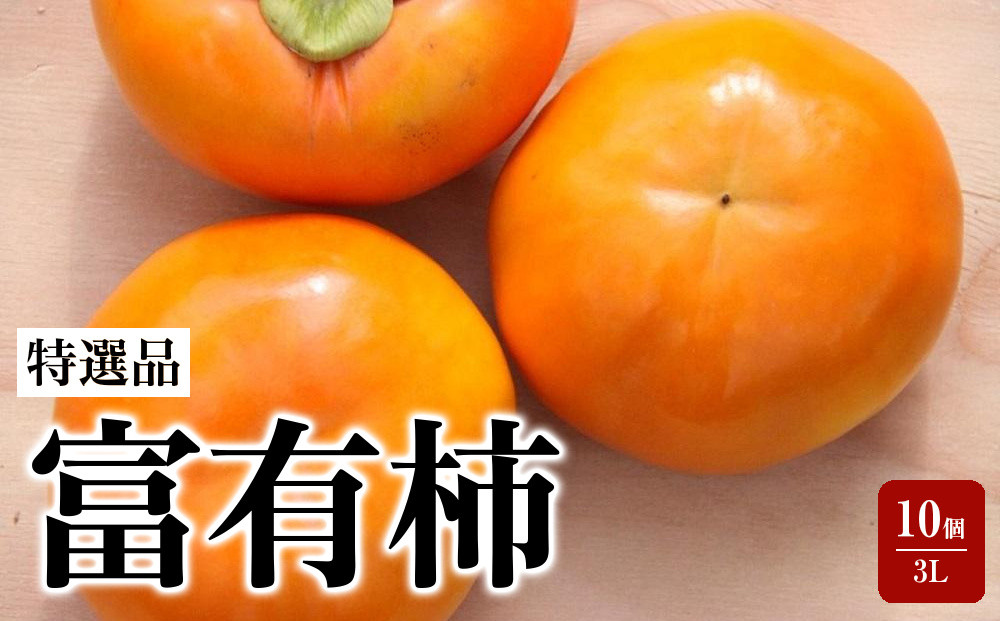 【特選品】岐阜県大野町産&nbsp;富有柿&nbsp;3L&nbsp;10個入り【2026年11月下旬～発送】