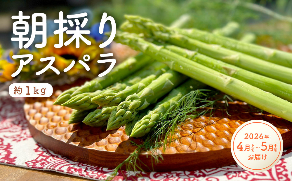 【先行受付】朝採りアスパラガス（約1kg）／2026年4月上旬～5月中旬お届け