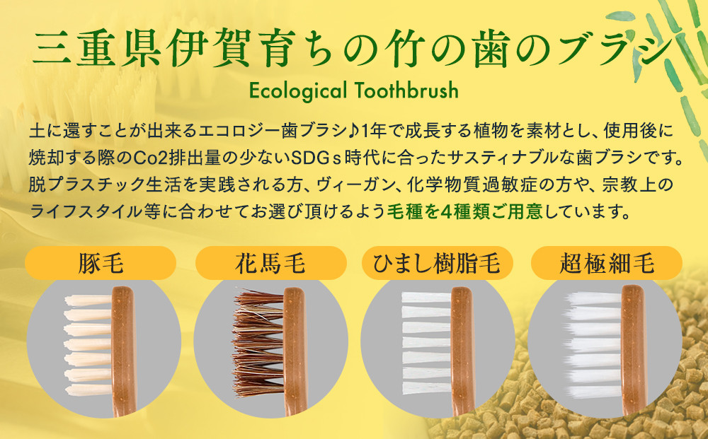 MEGURU 竹の歯ブラシ 超極細毛 4本セット | JTBのふるさと納税サイト