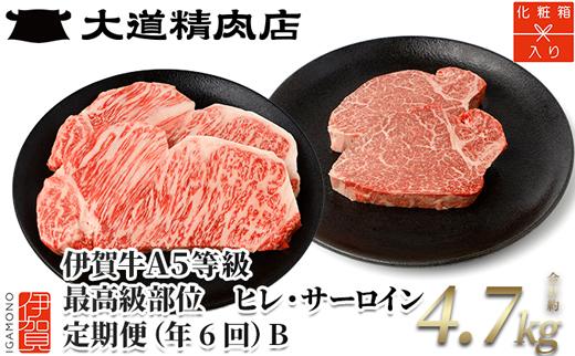 【年6回】伊賀牛 A5ヒレ・サーロイン 定期便B 総合計約4.7kg