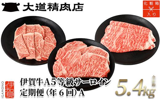 【年6回】伊賀牛 A5サーロイン 定期便コースA 総合計約5.4kg