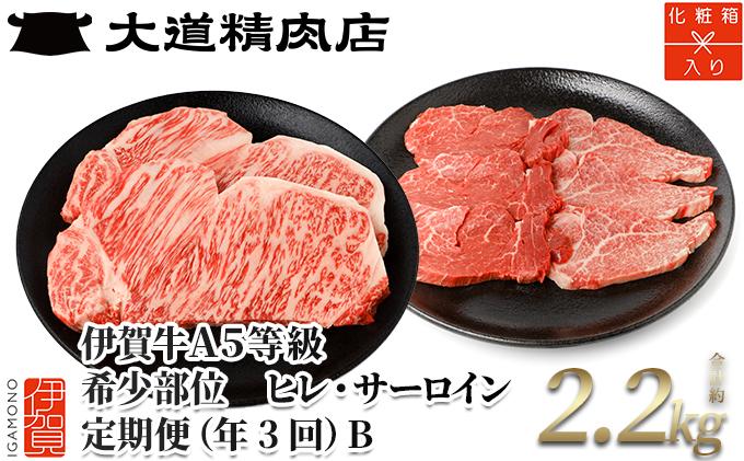 【年3回】伊賀牛 A5ヒレ・サーロイン 定期便B 総合計約2.2kg