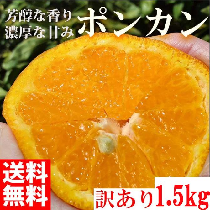 ぽんかん ポンカン 1500g 訳あり 産地直送 オレンジ フルーツ 果物