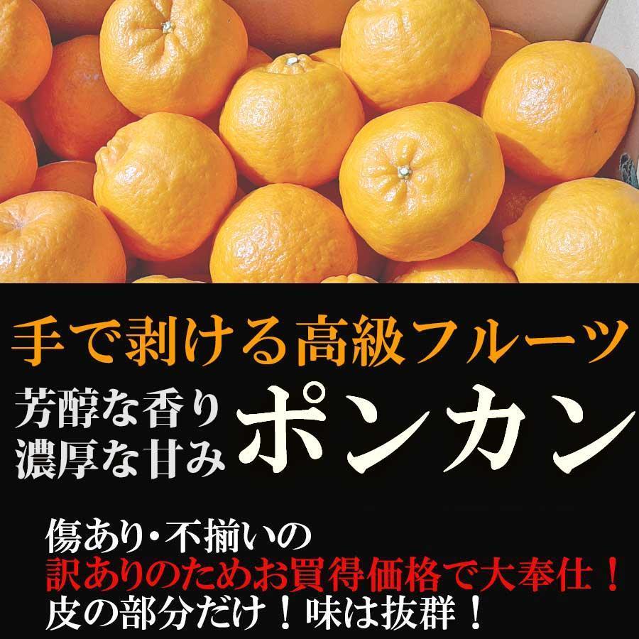 ぽんかん ポンカン 4kg 訳あり 産地直送 オレンジ フルーツ 果物
