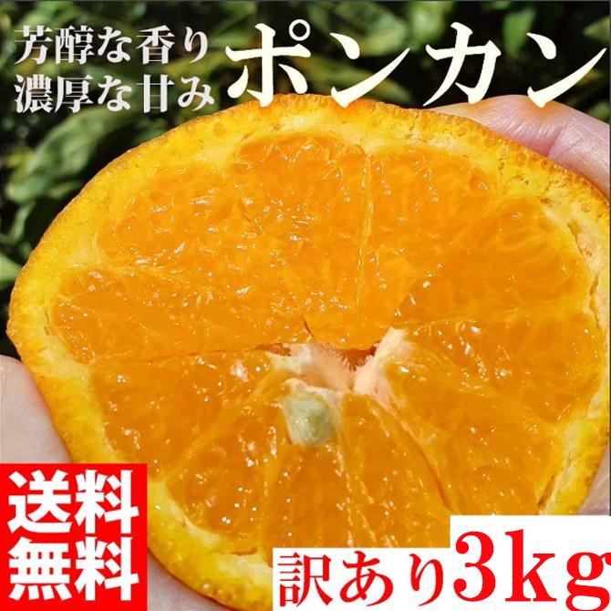 ぽんかん ポンカン 3kg 訳あり 産地直送 オレンジ フルーツ 果物