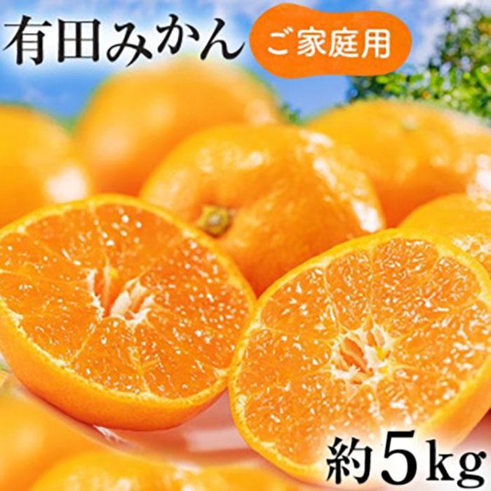 ご家庭用 濃厚 完熟 有田 みかん 5kg【先行予約 2024年11月下旬～12月中旬発送】【訳あり】【農家直送】