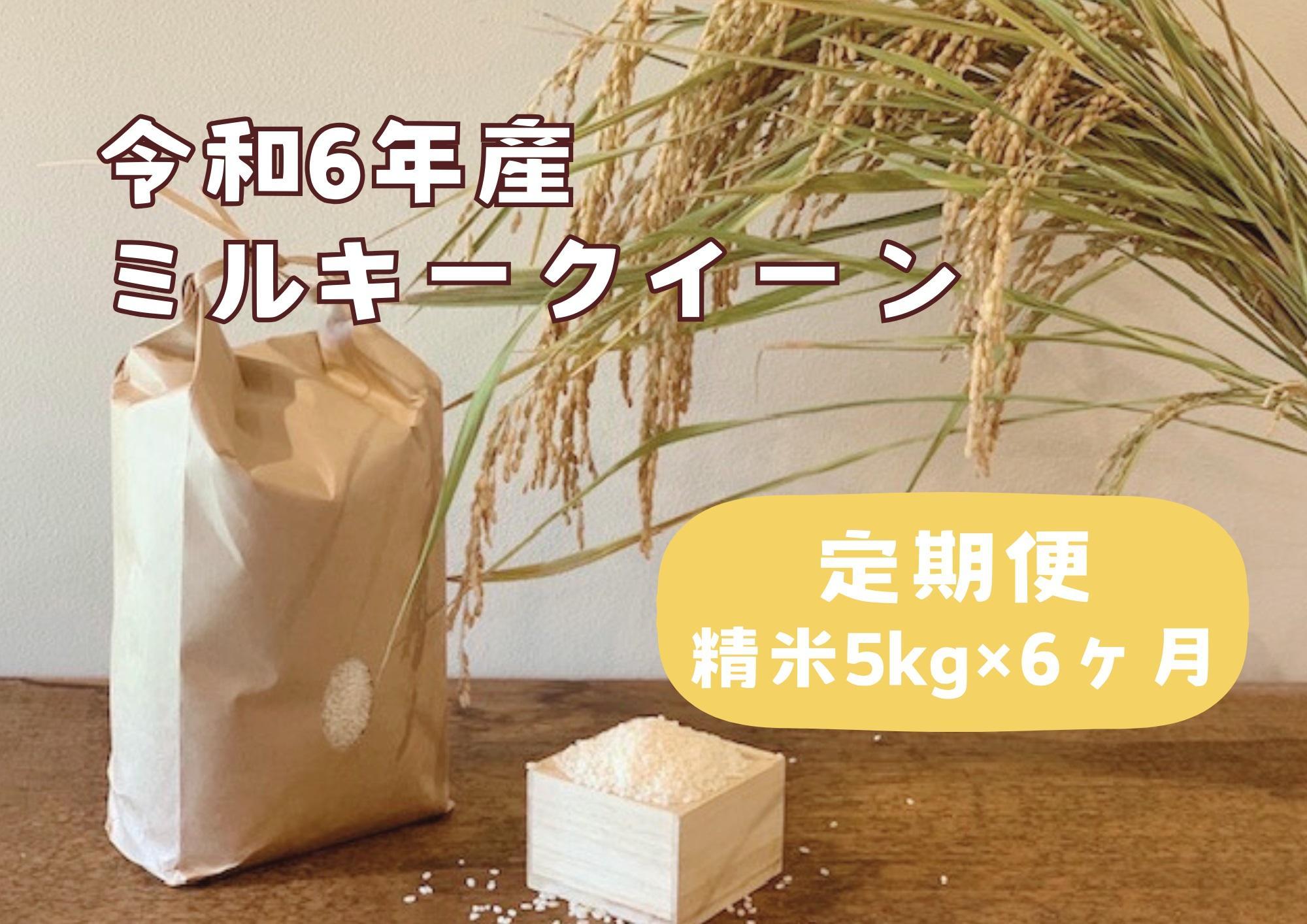 【定期便】栃木県産ミルキークイーン　≪「精米」5kg × 6ヵ月/毎月お届け≫　米　お米　ミルキー　農家直送　産地直送