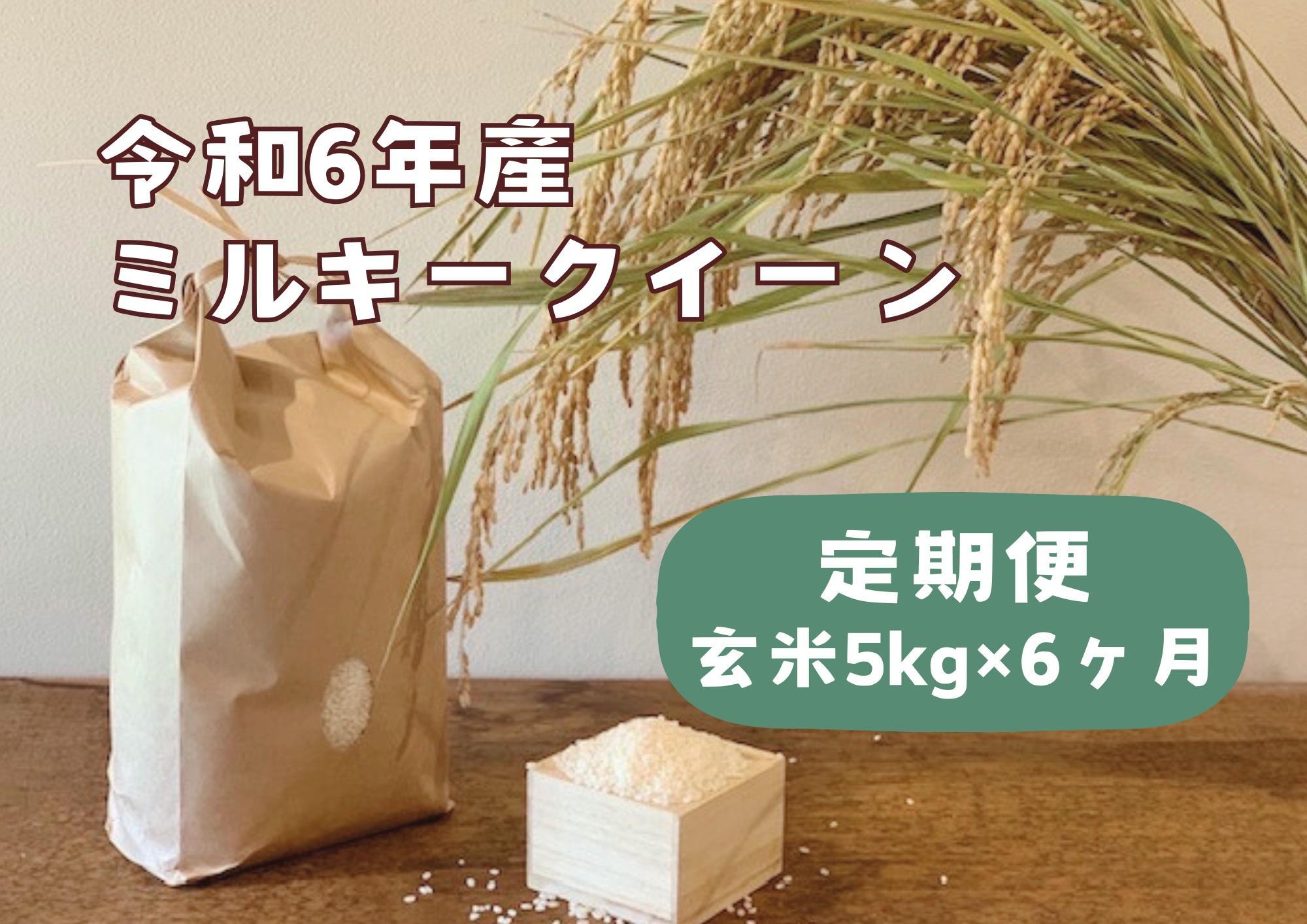 【定期便】栃木県産ミルキークイーン　≪「玄米」5kg × 6ヵ月/毎月お届け≫　米　お米　玄米　ミルキー　農家直送　産地直送