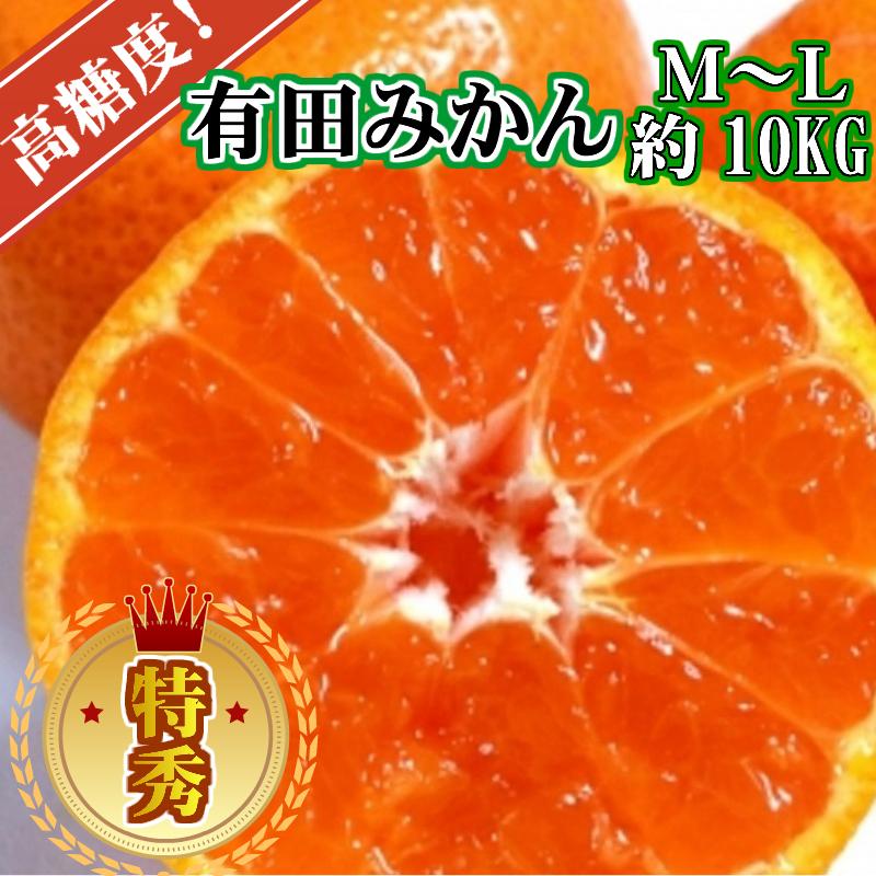 有田みかん［特秀品M~L、高糖度］約10kg!［2025年10月から12月下旬頃順次発送］