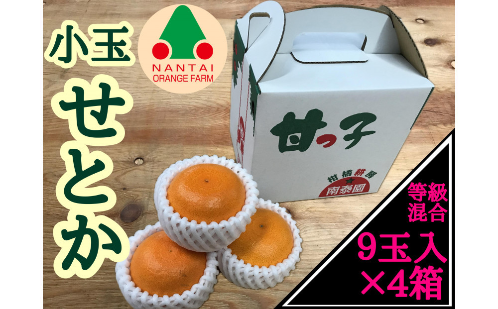 ［4箱セット］甘っ子&nbsp;小玉&nbsp;ハウス&nbsp;せとか&nbsp;9玉入&nbsp;×&nbsp;4箱&nbsp;手さげ箱&nbsp;南泰園