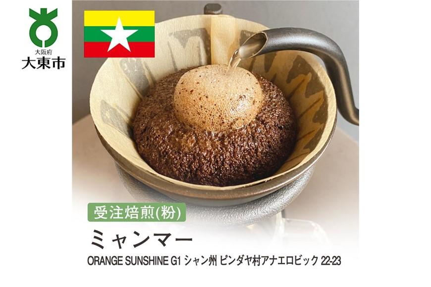 [粉]#180 受注焙煎！310g ミャンマー ORANGE SUNSHINEG1 シャン州 ピンダヤ村アナエロビック 22-23  珈琲粉 コーヒー粉 自家焙煎