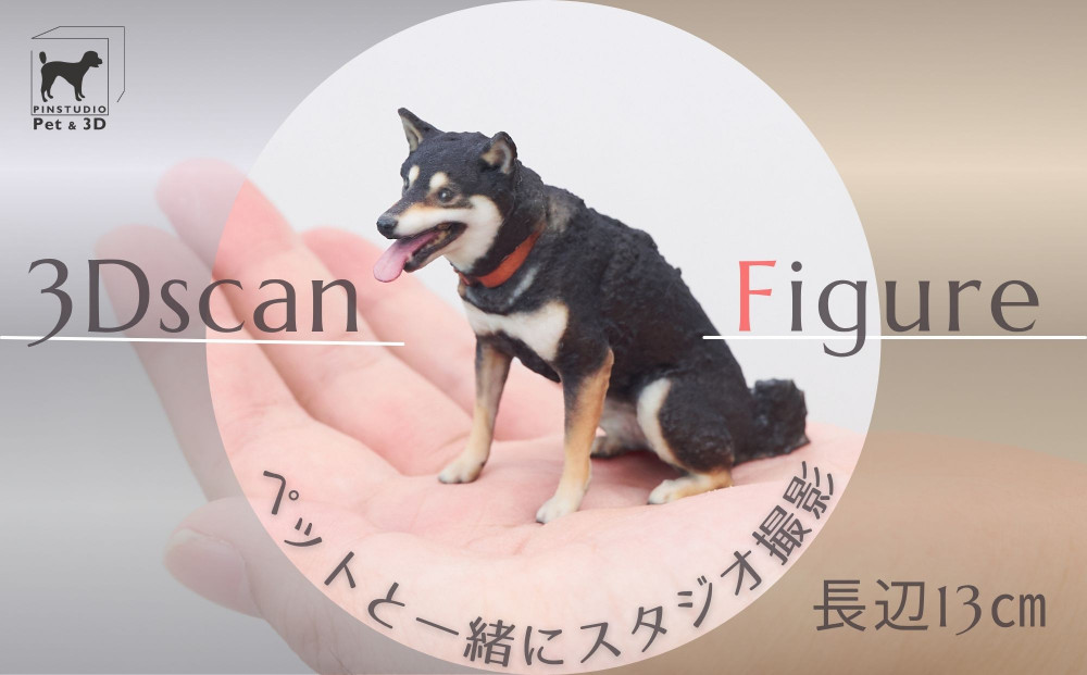 ペットの３Dスキャンと３Dフルカラープリントによる造形（フィギュア）長辺１３cm&nbsp;|&nbsp;ペット&nbsp;3Dスキャン&nbsp;犬&nbsp;猫&nbsp;記念&nbsp;プレゼント&nbsp;ギフト&nbsp;オーダーメイド&nbsp;思い出&nbsp;人気&nbsp;おすすめ&nbsp;送料無料&nbsp;東京&nbsp;中野区