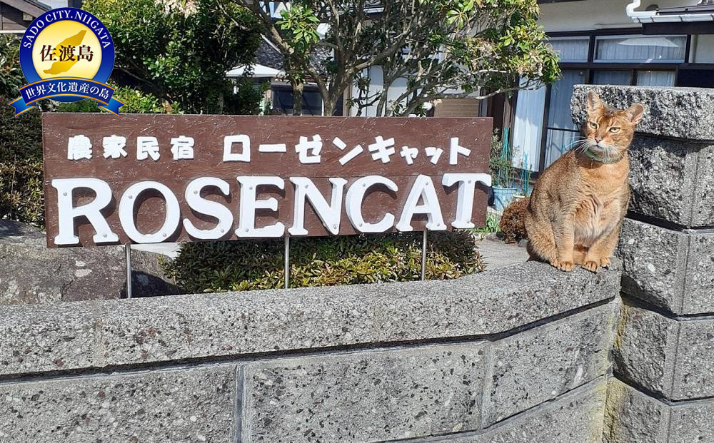 バラと猫に癒やされるローゼンキャット宿泊プラン（2名様）