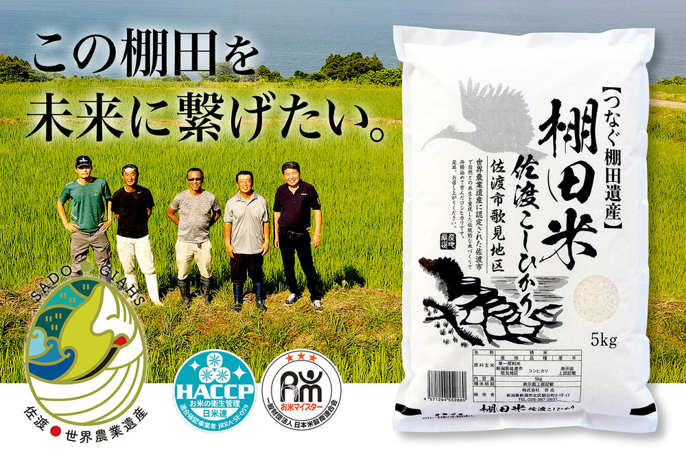 米&nbsp;コシヒカリ&nbsp;佐渡産&nbsp;(&nbsp;5kg&nbsp;)&nbsp;棚田米&nbsp;佐渡市歌見地区【令和7年米】
