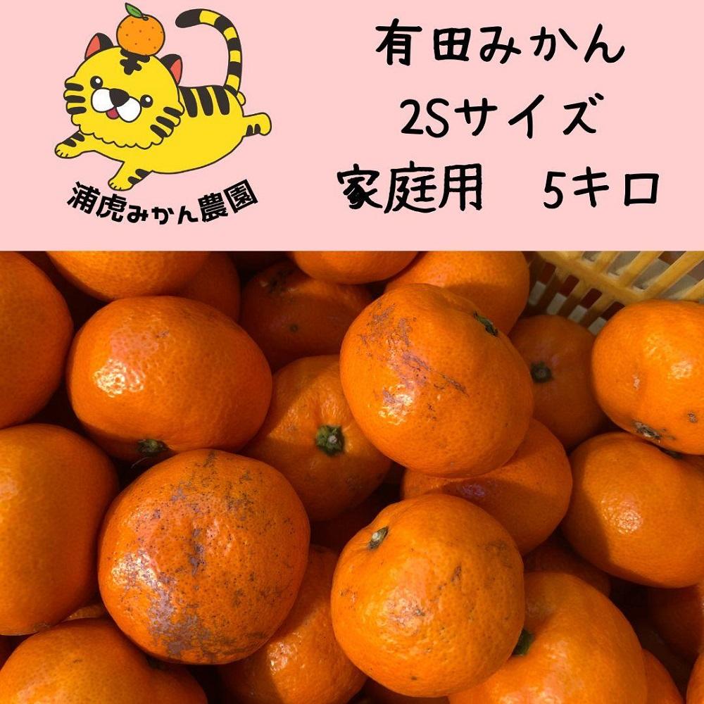 訳あり温州みかん 家庭用 5kg（SSサイズ）小さなミカンが好きな人におすすめ