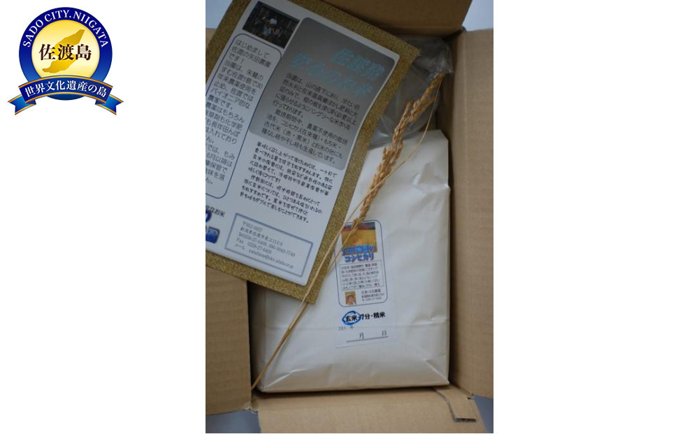 【先行予約】【令和6年産】農薬不使用　佐渡産コシヒカリ 玄米3kg
