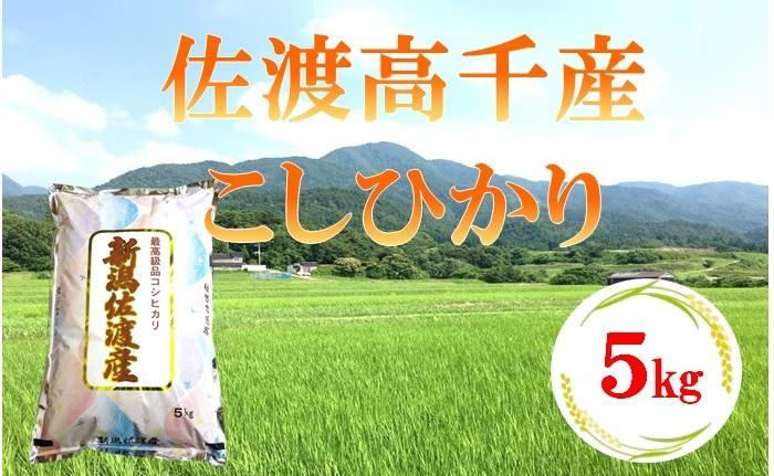 【令和6年産】佐渡高千産こしひかり 5kg