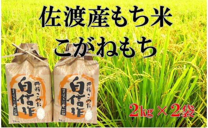 佐渡産もち米 こがねもち 2kg×2袋