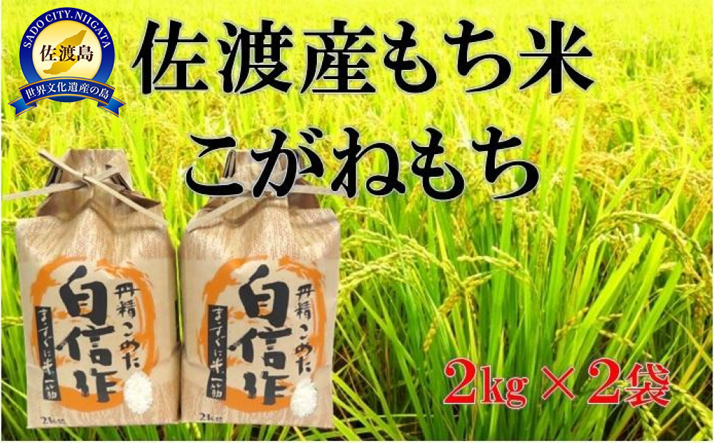 佐渡産もち米&nbsp;こがねもち&nbsp;2kg×2袋