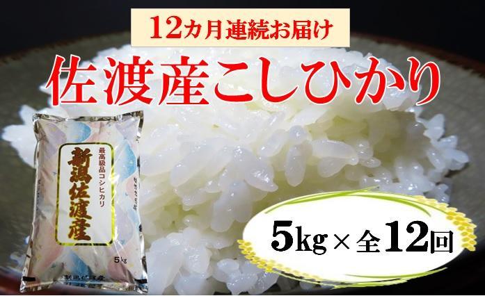 定期便】佐渡産高千産こしひかり 5kg【12ヶ月連続お届け】 | JTBの