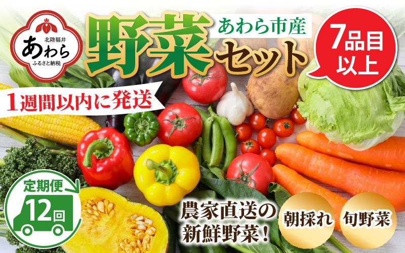 【12ヶ月連続お届け】農家直送 旬の野菜セット 7品目以上 1箱