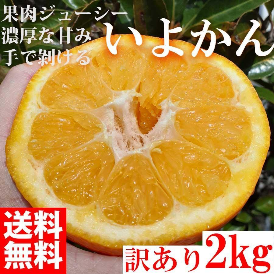 みかん いよかん 伊予柑  2kg ご家庭用　和歌山県有田川町産