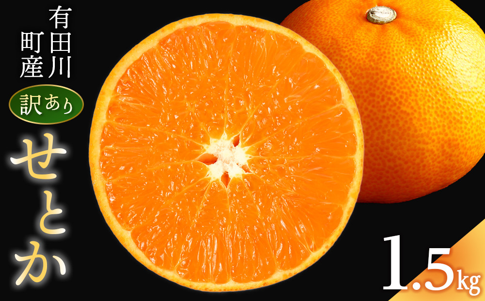 みかん&nbsp;の大トロ&nbsp;せとか&nbsp;1.5kg&nbsp;訳あり&nbsp;ブランド&nbsp;和歌山&nbsp;有田みかん&nbsp;農家直送&nbsp;オレンジ&nbsp;フルーツ&nbsp;果物