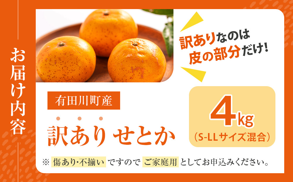 せとか みかんの大トロ 4kg 訳あり ブランド 和歌山 有田みかん 農家