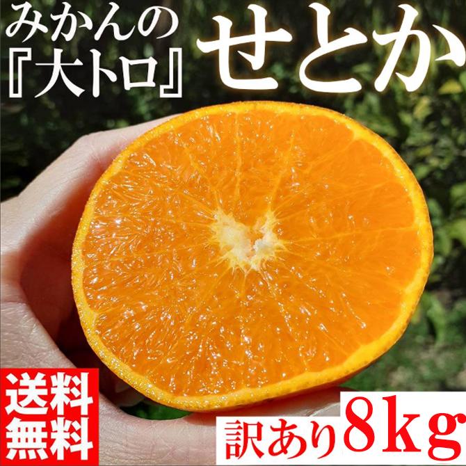 せとか ＜別名-みかんの大トロ＞ 和歌山県有田川町産 オレンジ 家庭用 8kg