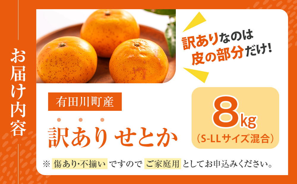 せとか ＜別名-みかんの大トロ＞ 和歌山県有田川町産 オレンジ 訳あり