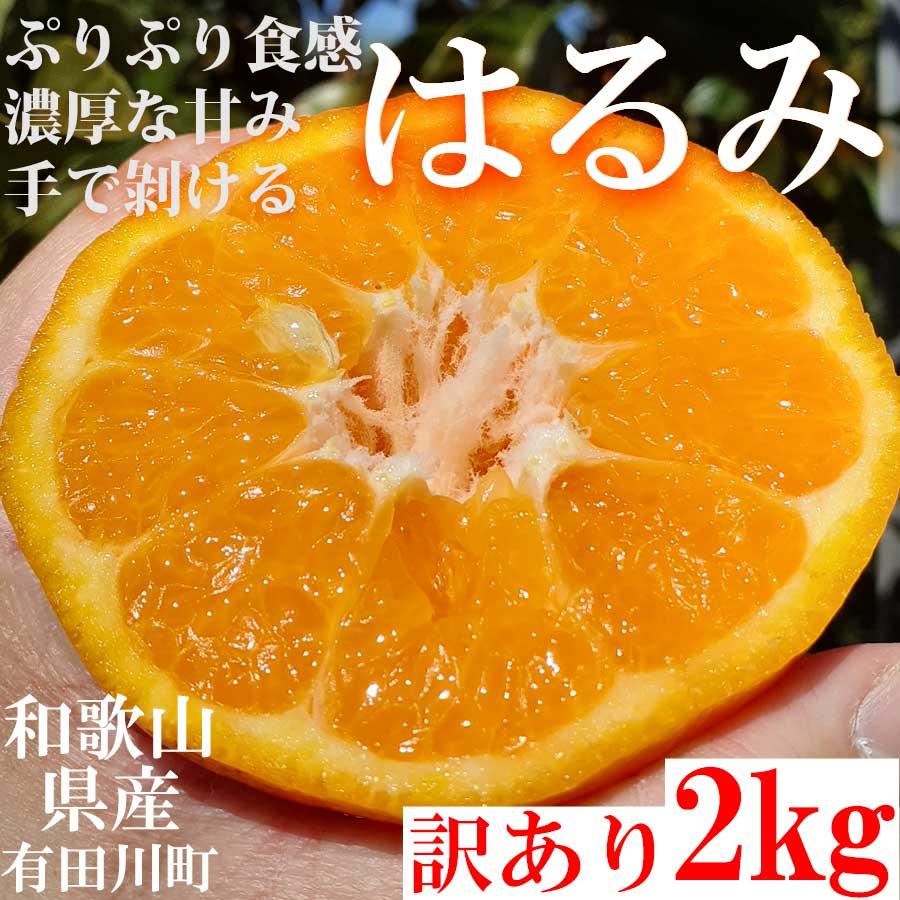 【有田川町】はるみ みかん オレンジ 2kg 和歌山県産ご家庭用