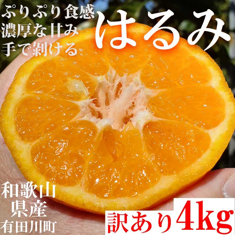 【有田川町】はるみ みかん オレンジ 4kg 和歌山県産ご家庭用