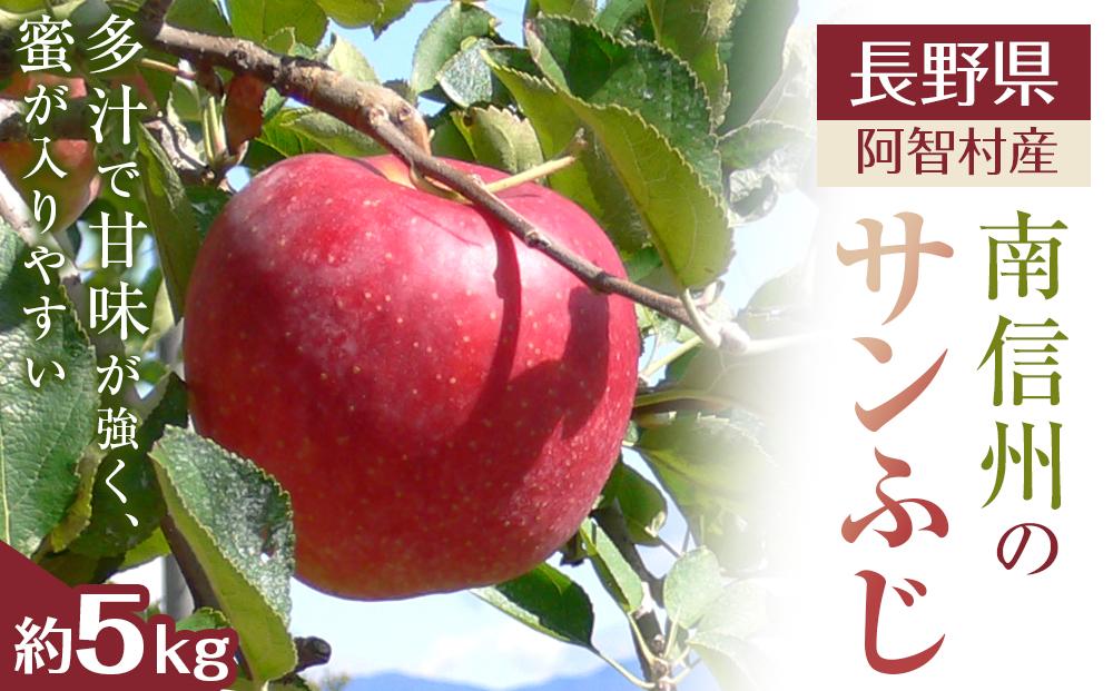 りんご　10kg (1kg＝8ー12個)