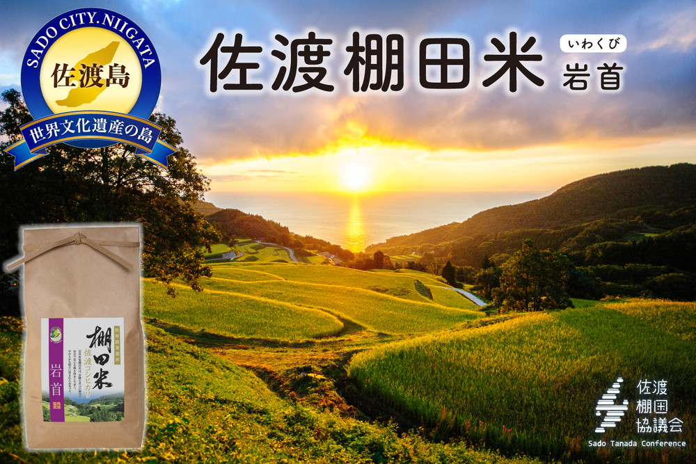 佐渡島産コシヒカリ&nbsp;岩首昇竜棚田米&nbsp;白米4Kg（2Kg×2袋）【令和7年産】