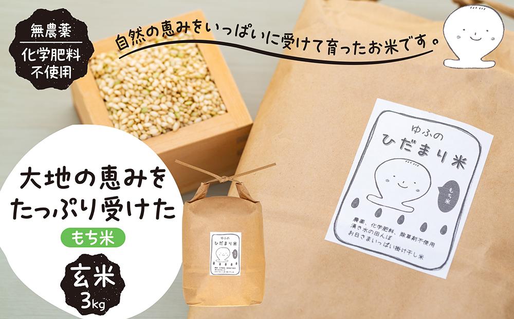 【無農薬・化学肥料不使用】大地の恵みをたっぷり受けた もち米（玄米）3kg
