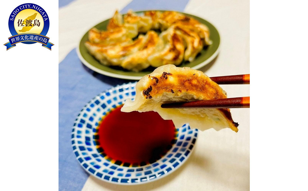 りょうこのぎょうざ50個(10個入り×5パック)