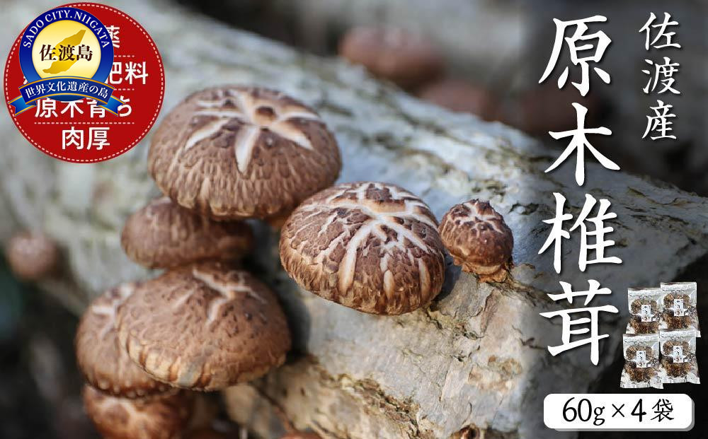 佐渡発酵　佐渡産原木椎茸60g×4