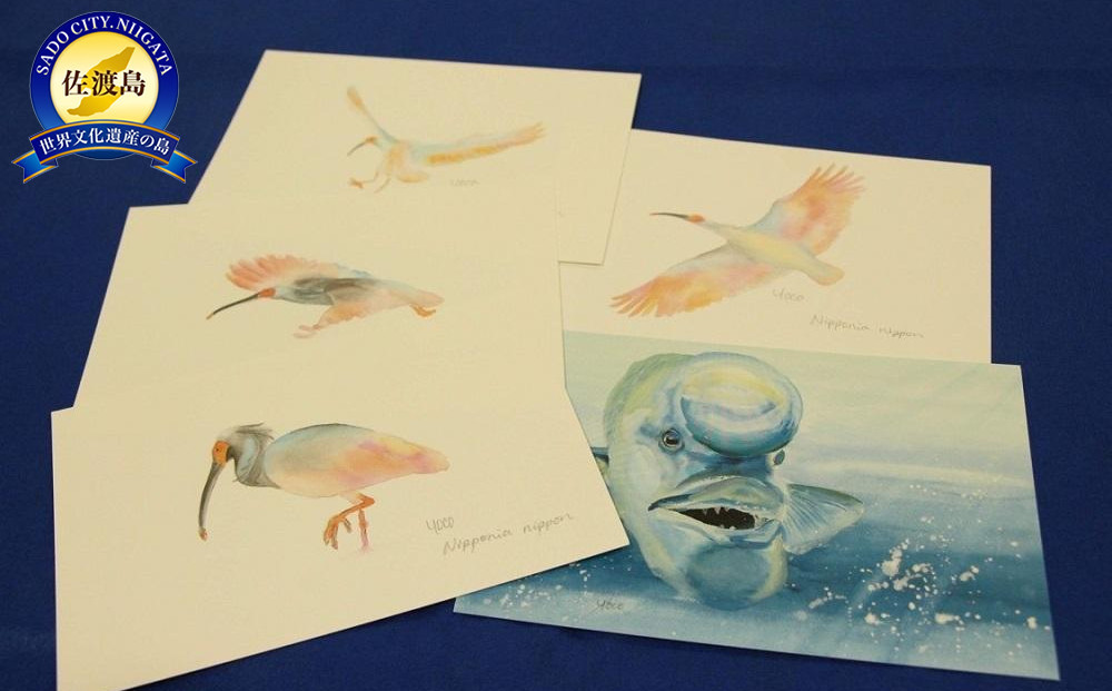 アニマルレスキューdearPAWSオリジナルグッズ