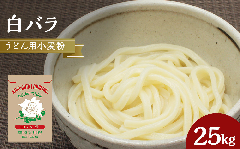 うどん用小麦粉「白バラ」25kg【&nbsp;小麦&nbsp;小麦粉&nbsp;粉&nbsp;穀物&nbsp;&nbsp;うどん用&nbsp;うどん&nbsp;こむぎ&nbsp;こむぎこ&nbsp;人気&nbsp;おすすめ&nbsp;香川県&nbsp;坂出市】