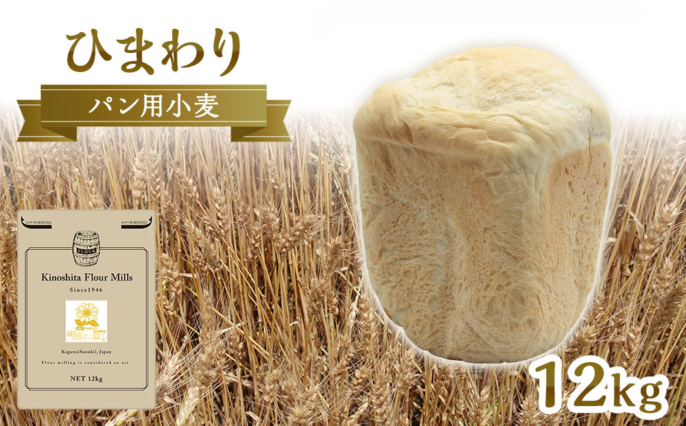 パン用小麦粉「ひまわり」12kg【&nbsp;小麦&nbsp;小麦粉&nbsp;粉&nbsp;パン用&nbsp;穀物&nbsp;こむぎ&nbsp;こむぎこ&nbsp;人気&nbsp;おすすめ&nbsp;香川県&nbsp;坂出市】